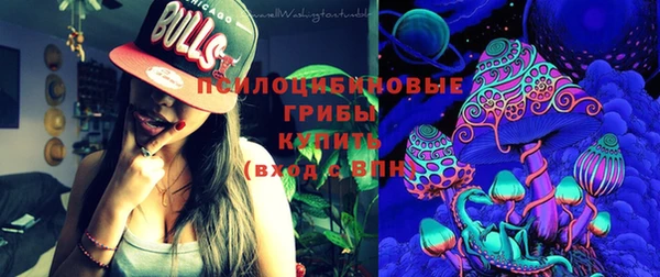 амф Абаза