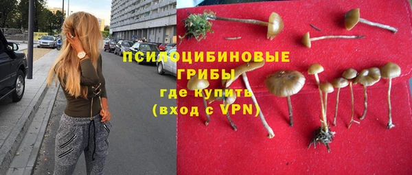 амф Абаза